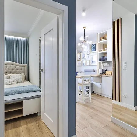 Kawalerka Cybernetyki